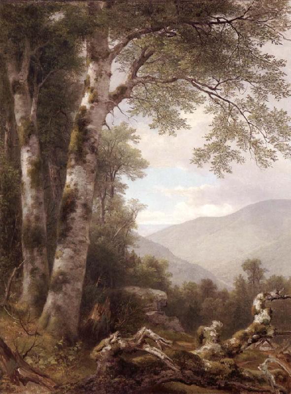 Asher Brown Durand Landscape with Birches oil painting image